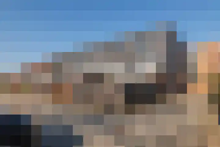 Eenvoudlaan 54 Veenendaal thumbnail 22