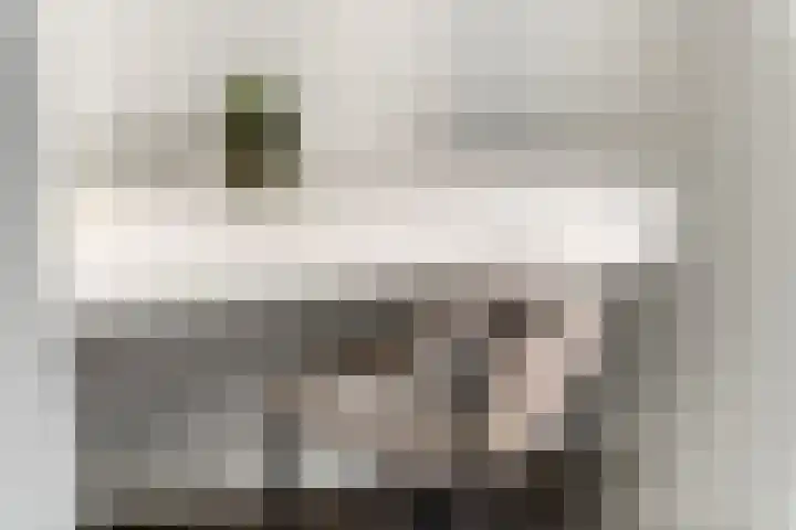Eenvoudlaan 54 Veenendaal thumbnail 34