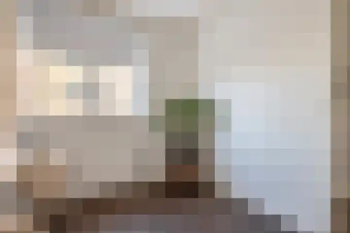 Eenvoudlaan 54 Veenendaal thumbnail 35