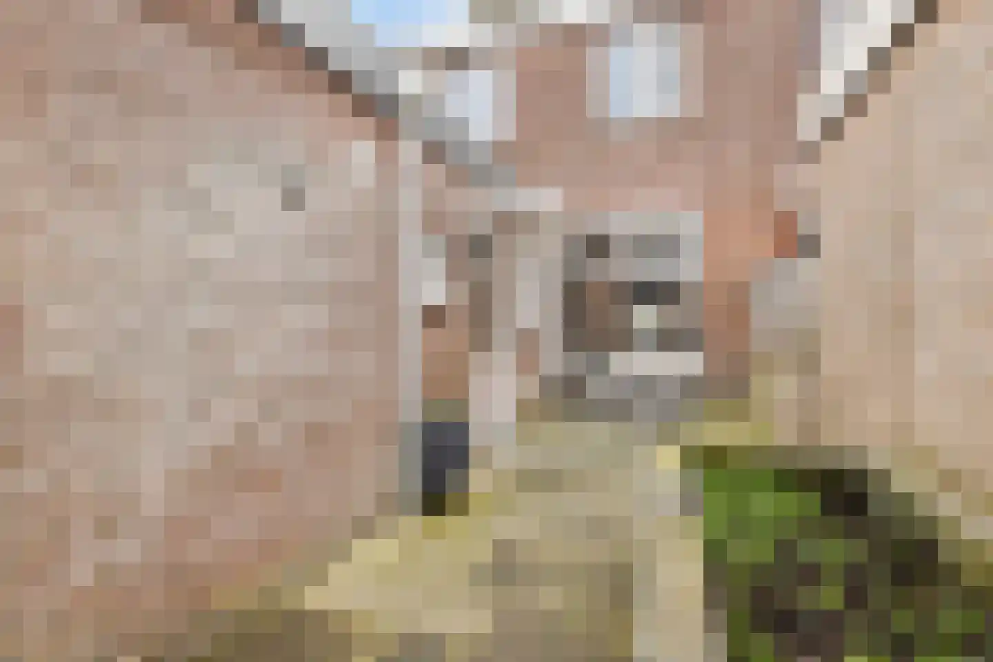 Eenvoudstraat 38 Kampen thumbnail 33