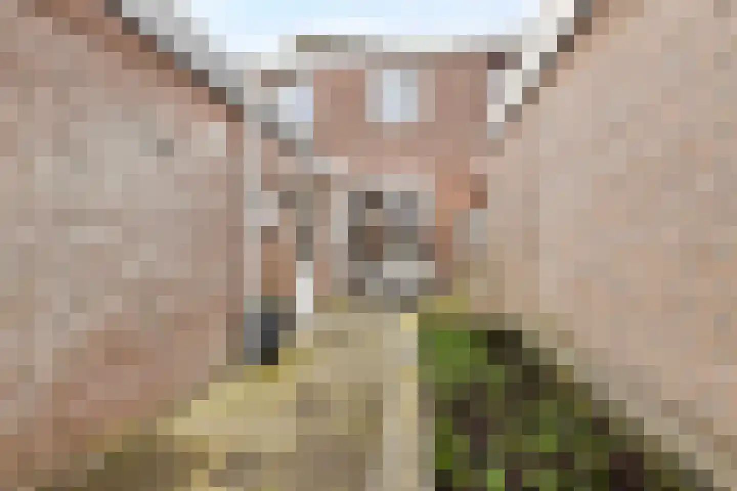 Eenvoudstraat 38 Kampen thumbnail 34