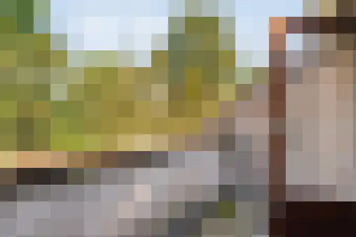 Eerbeek 10 Zwolle thumbnail 14