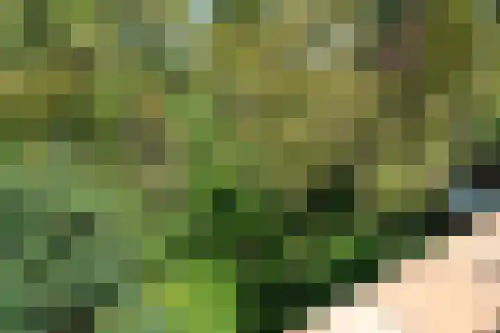 Eerbeek 10 Zwolle thumbnail 15