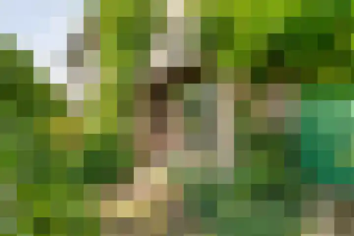 Eerbeek 10 Zwolle thumbnail 31