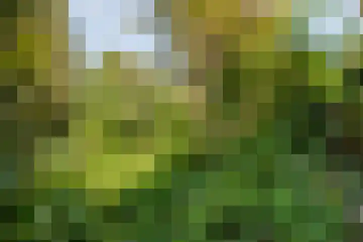 Eerbeek 10 Zwolle thumbnail 32