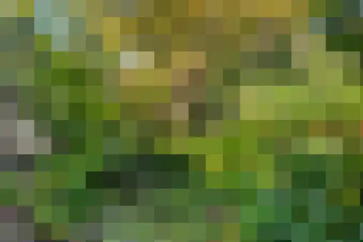 Eerbeek 10 Zwolle thumbnail 33