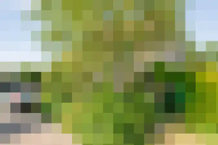 Eerbeek 10 Zwolle thumbnail 34