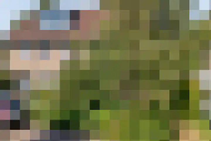 Eerbeek 10 Zwolle thumbnail 35