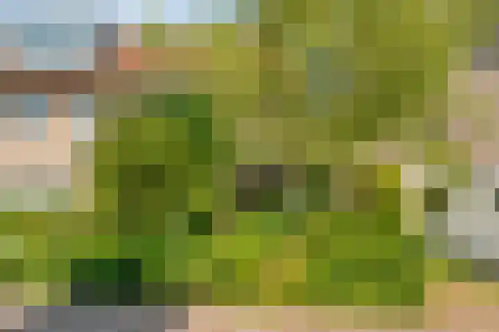 Eerbeek 10 Zwolle thumbnail 36