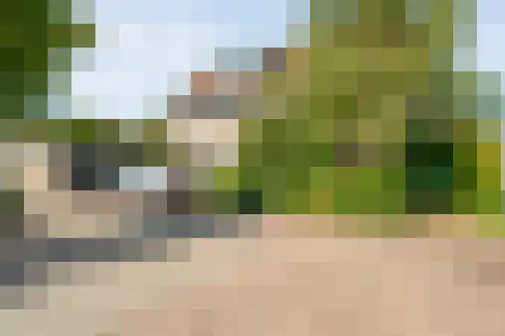Eerbeek 10 Zwolle thumbnail 37