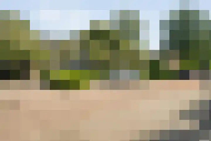 Eerbeek 10 Zwolle thumbnail 38