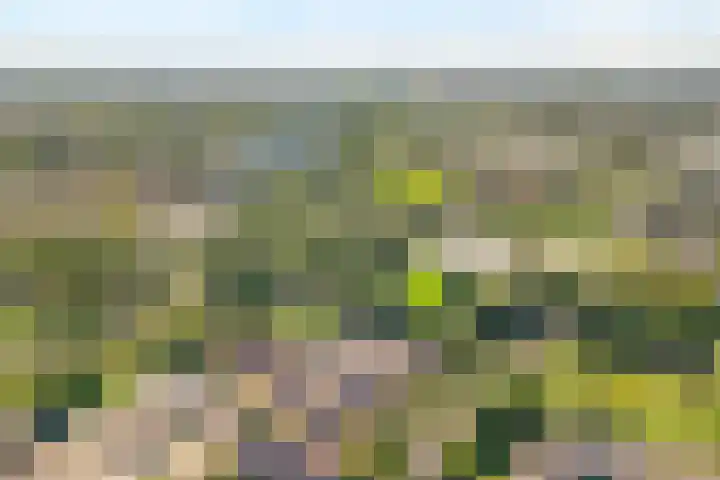 Eerbeek 10 Zwolle thumbnail 39
