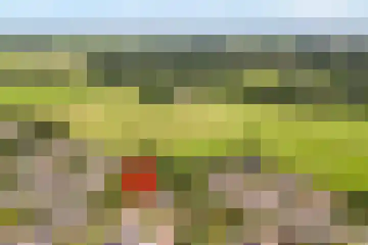Eerbeek 10 Zwolle thumbnail 44