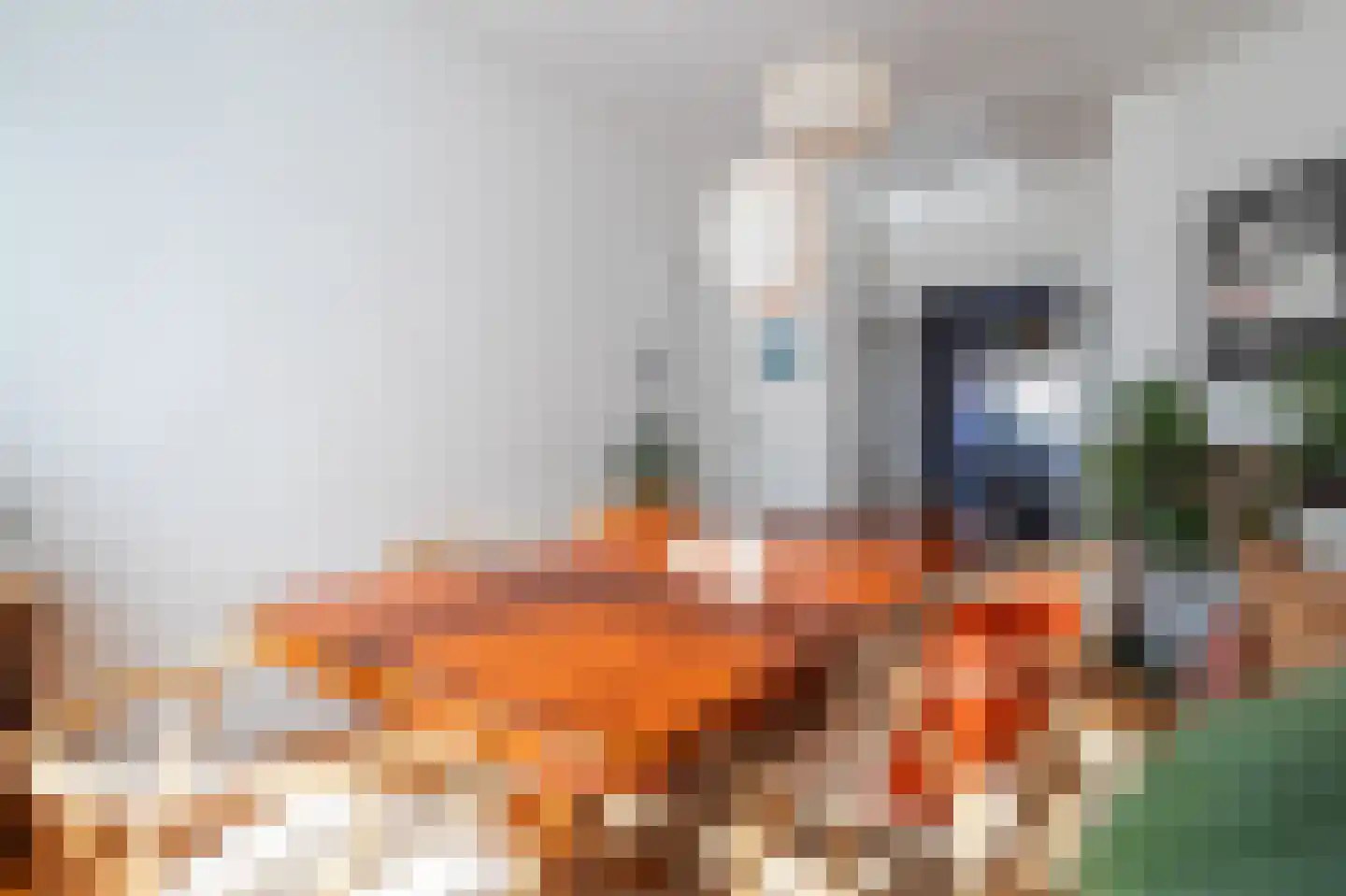 Eerbeeklaan 25 Den Haag thumbnail 16