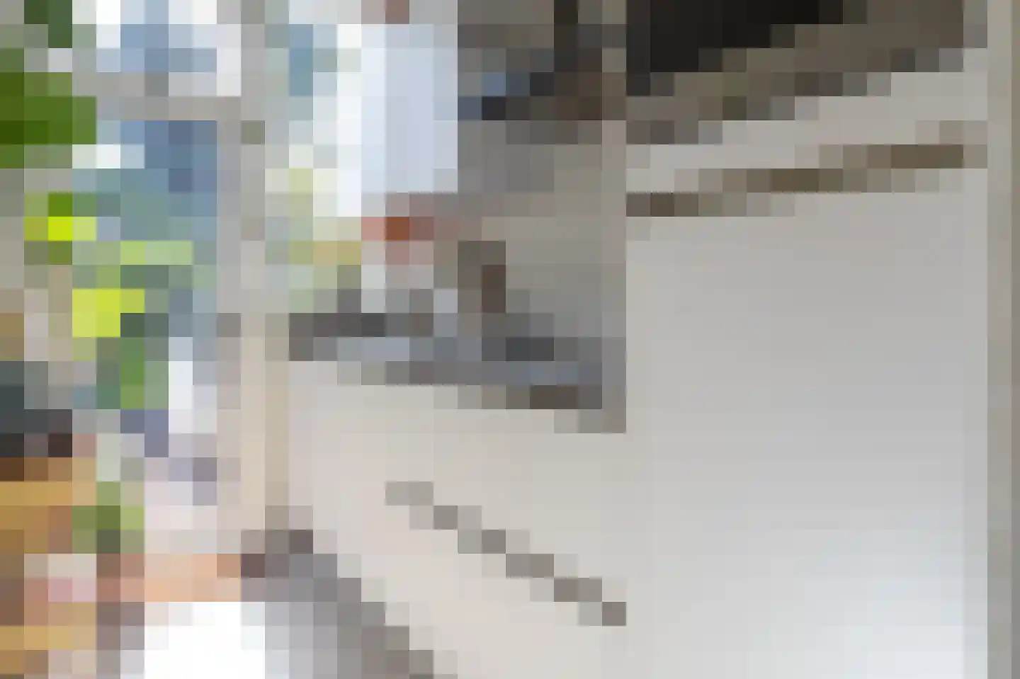 Eerbeeklaan 25 Den Haag thumbnail 19