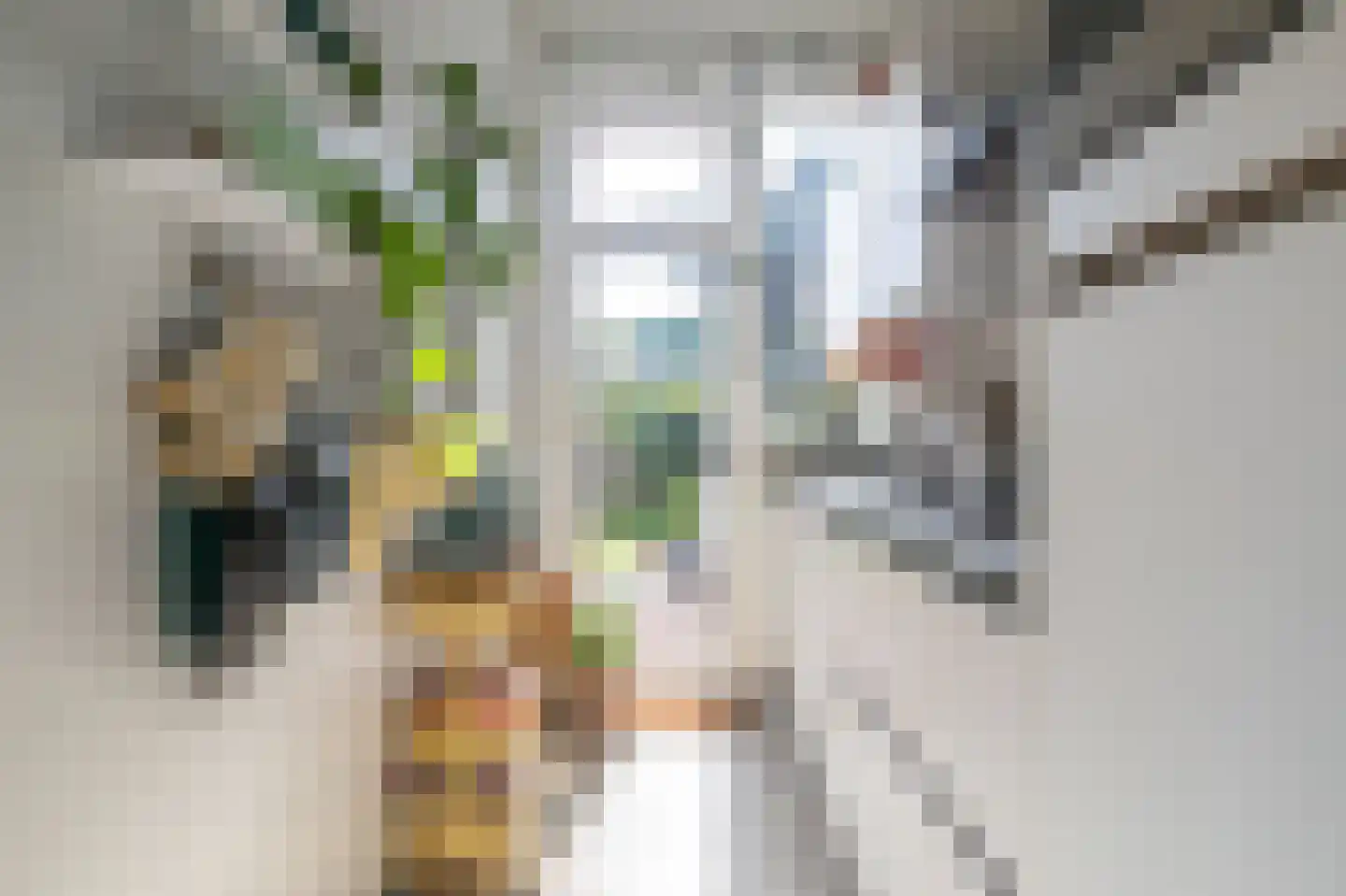 Eerbeeklaan 25 Den Haag thumbnail 20
