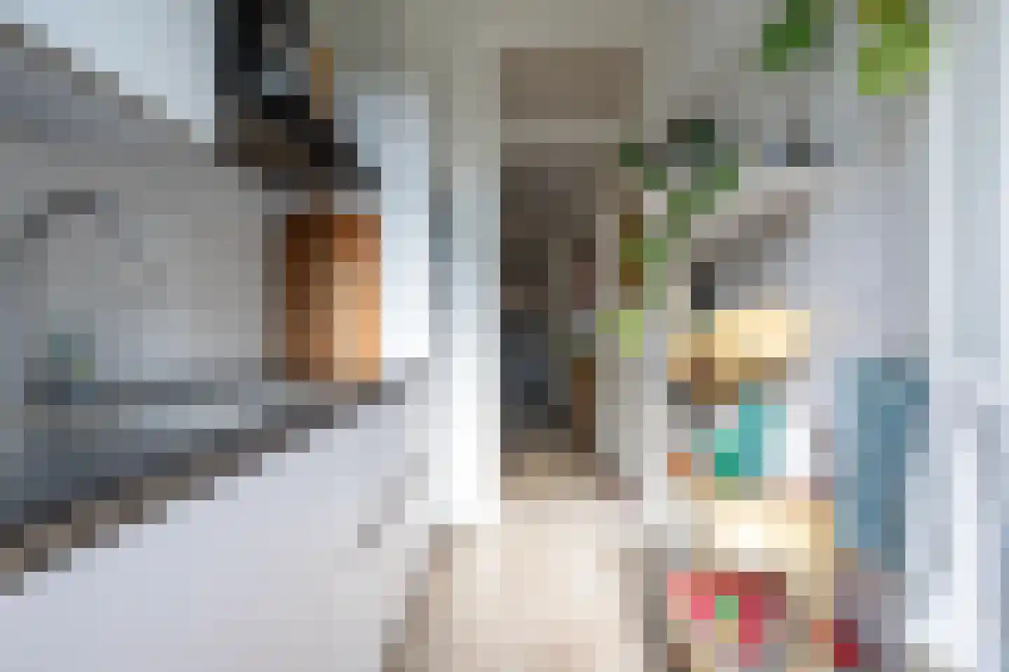 Eerbeeklaan 25 Den Haag thumbnail 21