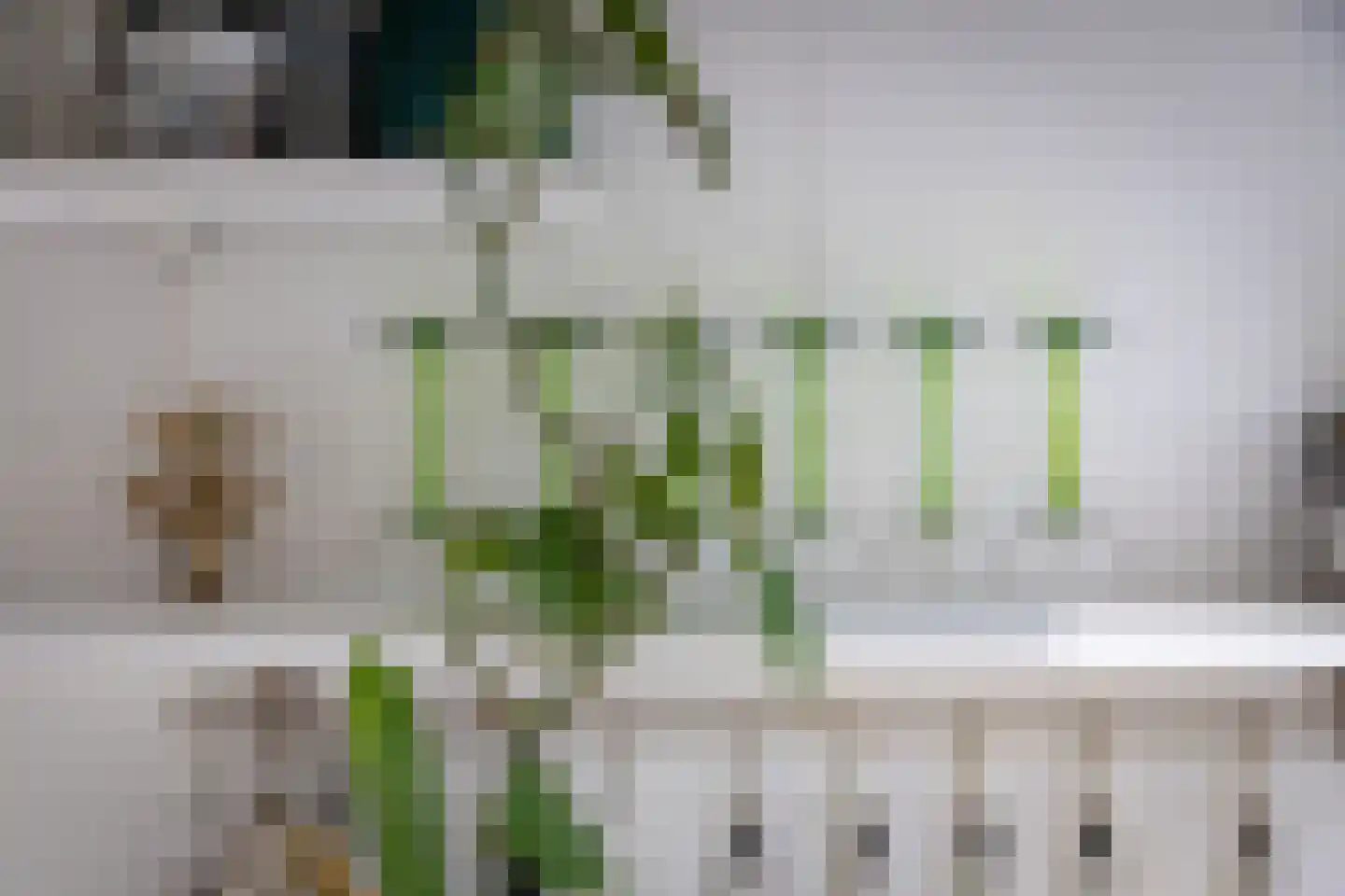 Eerbeeklaan 25 Den Haag thumbnail 30
