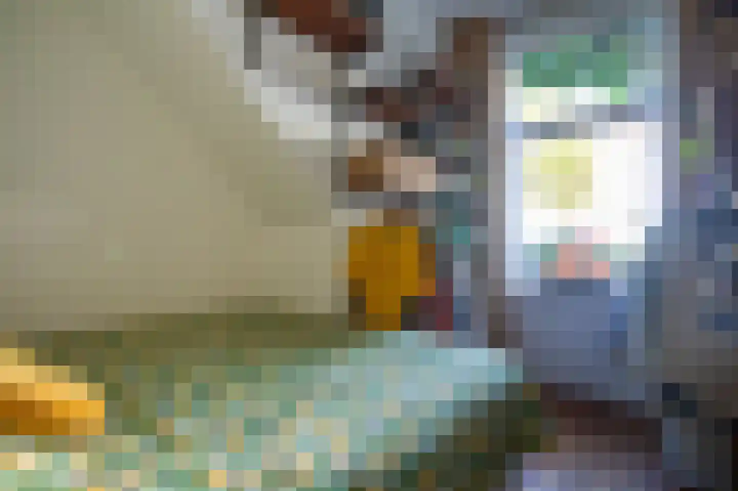 Eerbeeklaan 25 Den Haag thumbnail 32