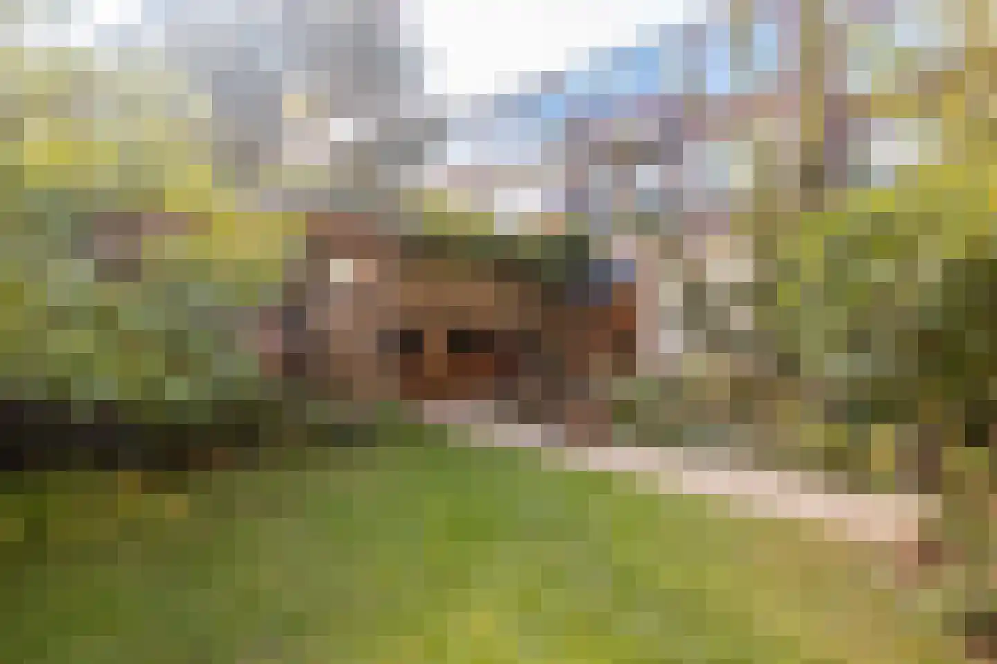 Eerbeeklaan 25 Den Haag thumbnail 4