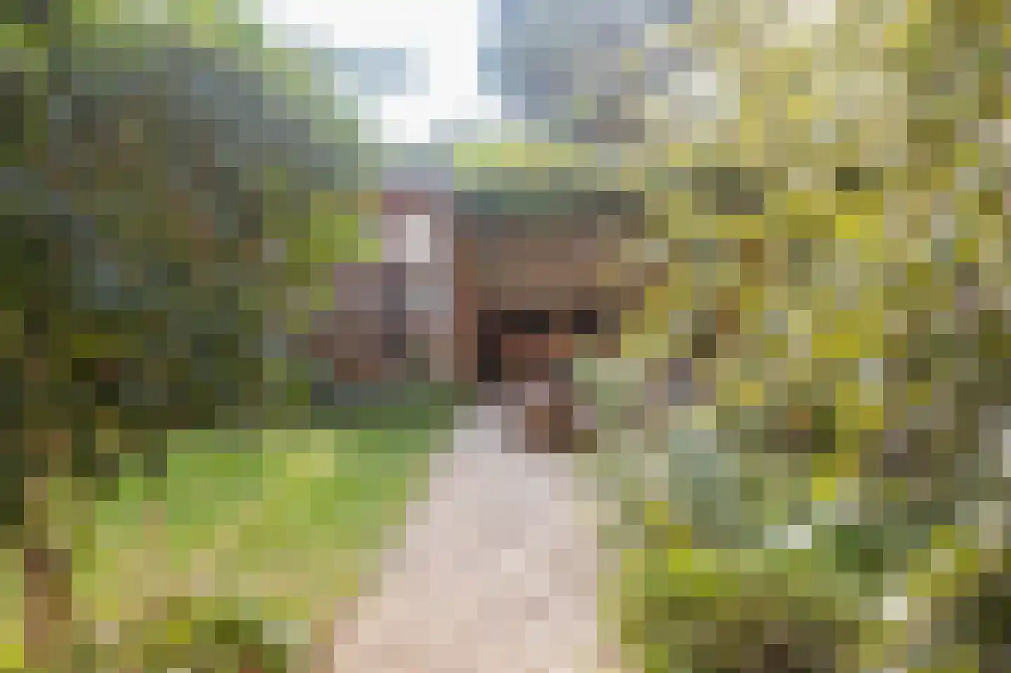 Eerbeeklaan 25 Den Haag thumbnail 42