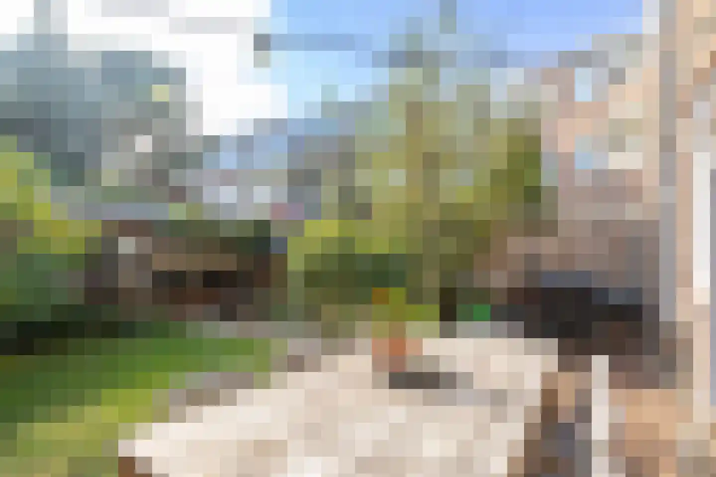 Eerbeeklaan 25 Den Haag thumbnail 44