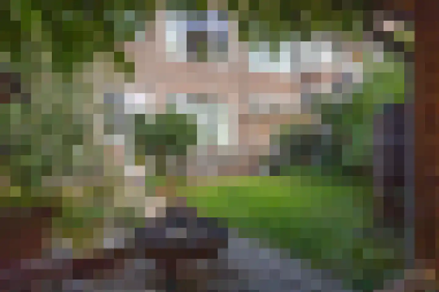Eerbeeklaan 25 Den Haag thumbnail 46