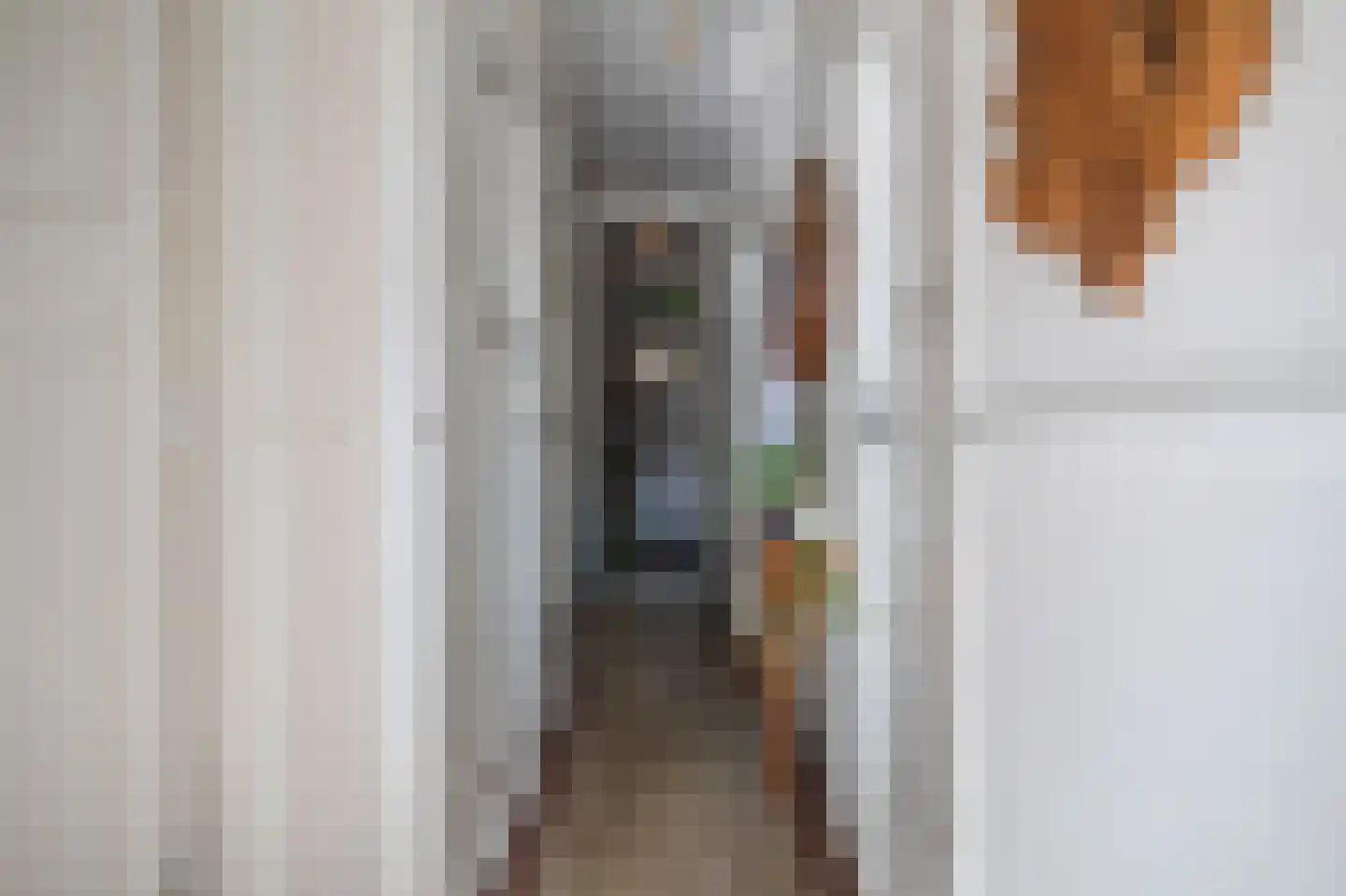 Eerbeeklaan 25 Den Haag thumbnail 48