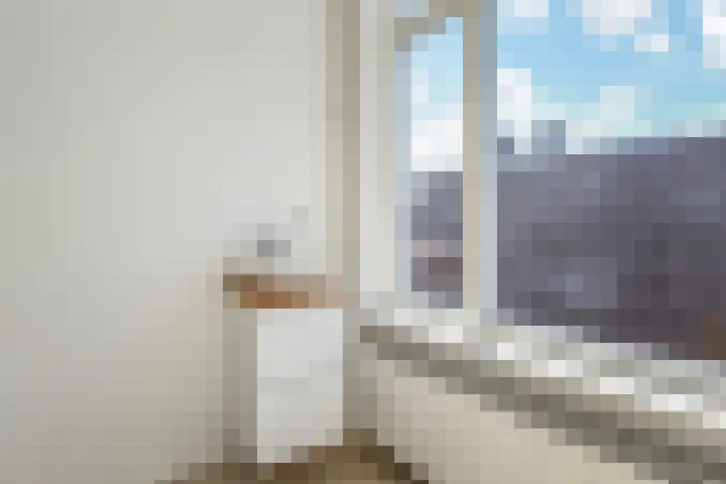 Eerbeeklaan 31 Den Haag thumbnail 5