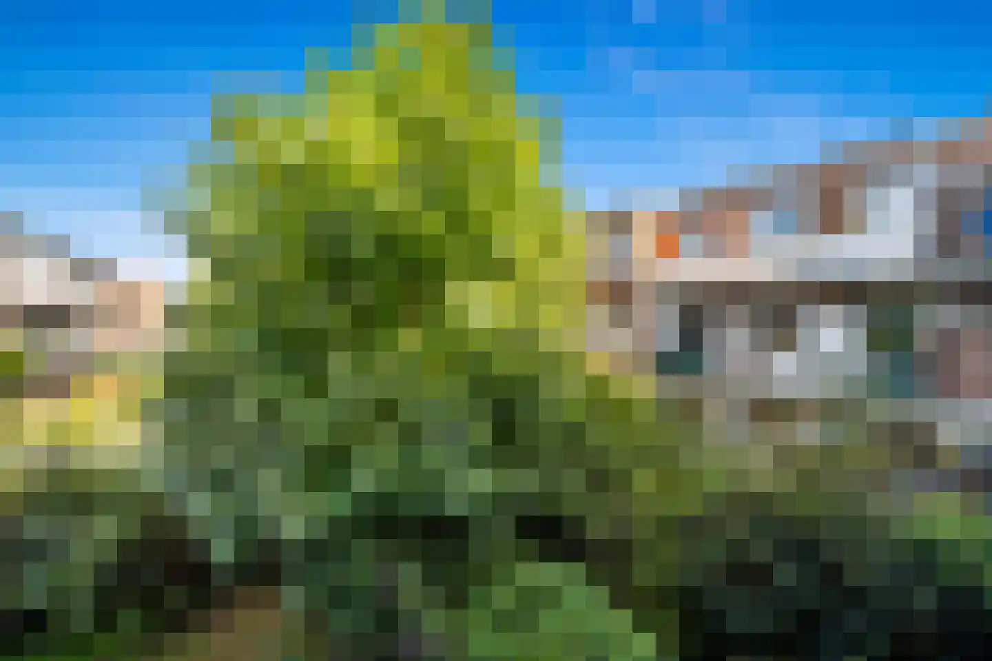 Eerbeeklaan 54 Den Haag thumbnail 28