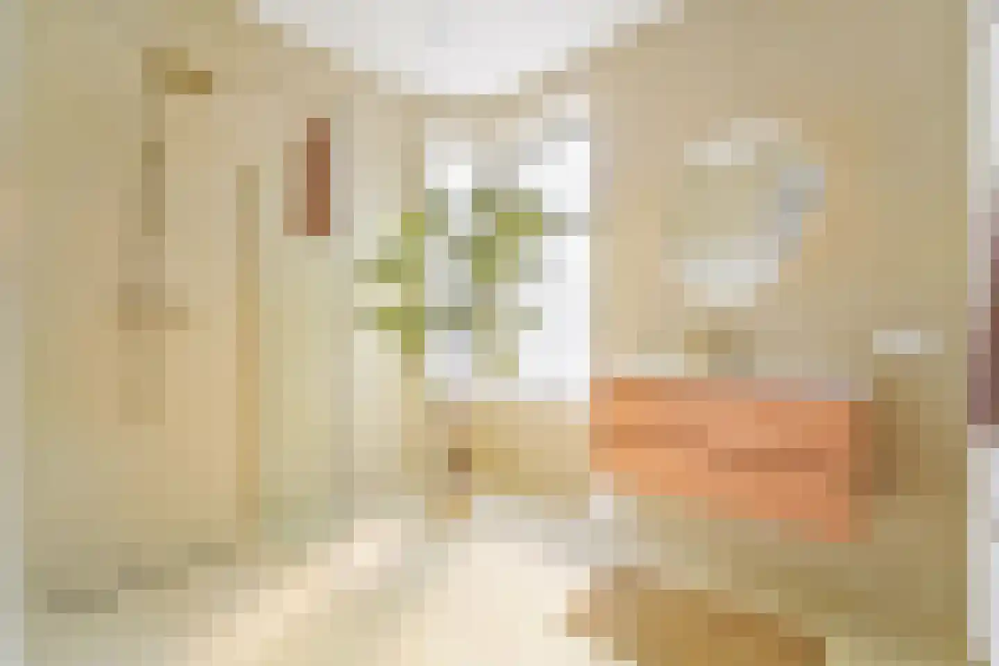 Eerbeeklaan 54 Den Haag thumbnail 4