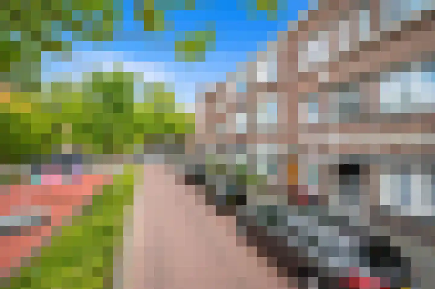 Eerbeeklaan 57 Den Haag thumbnail 28