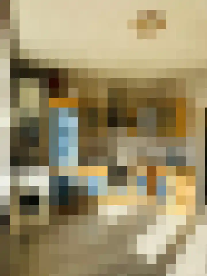 Eerbeeklaan 57 Den Haag thumbnail 4