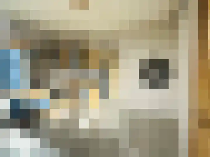 Eerbeeklaan 57 Den Haag thumbnail 5