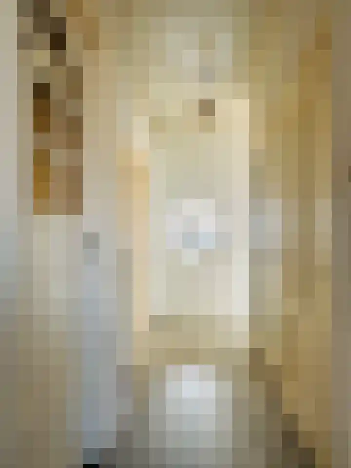 Eerbeeklaan 57 Den Haag thumbnail 6