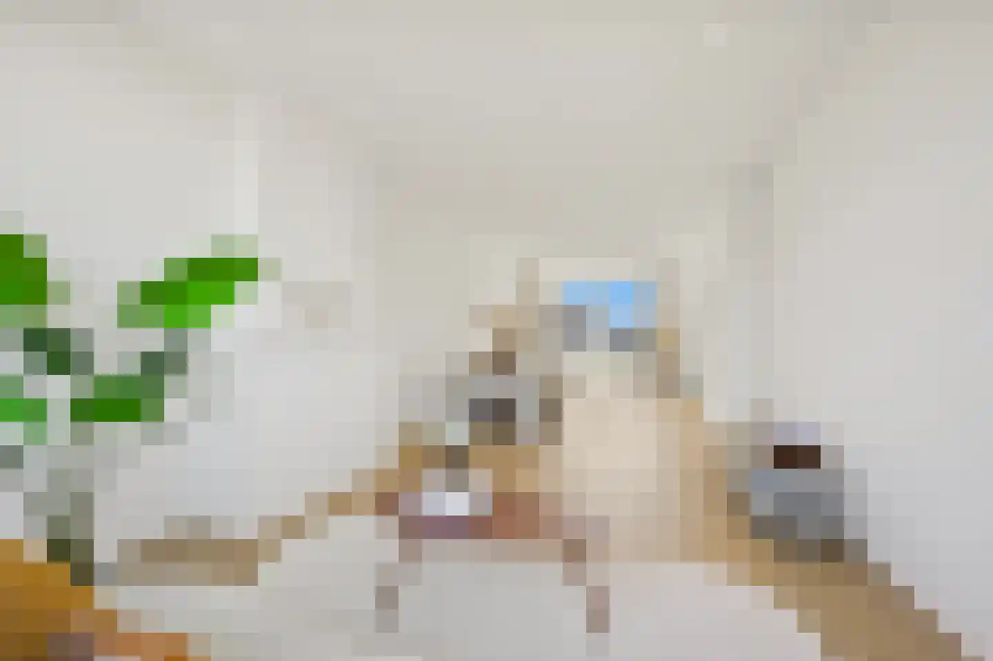 Eerbeeklaan 57 Den Haag thumbnail 7