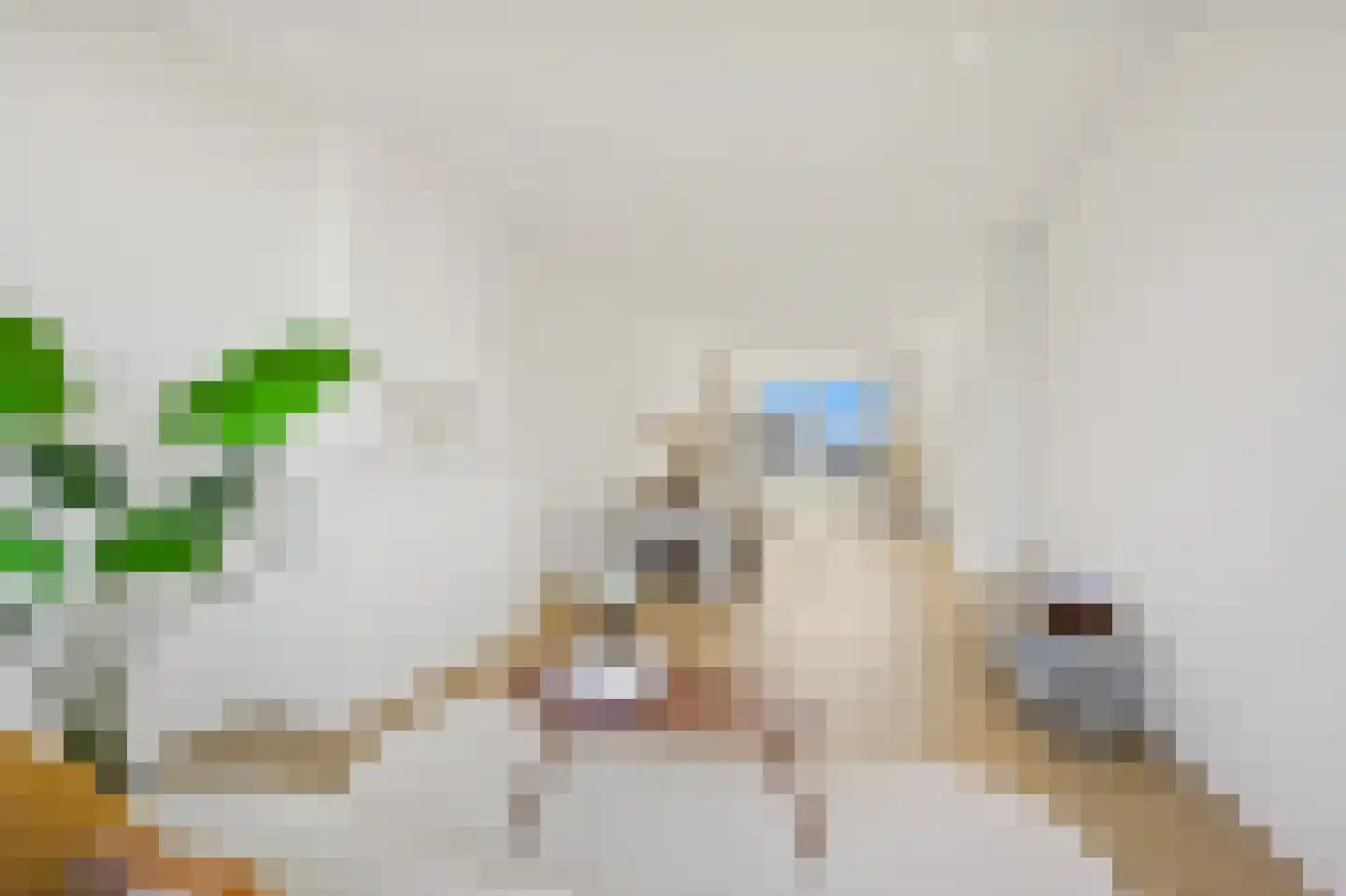 Eerbeeklaan 57 Den Haag thumbnail 7