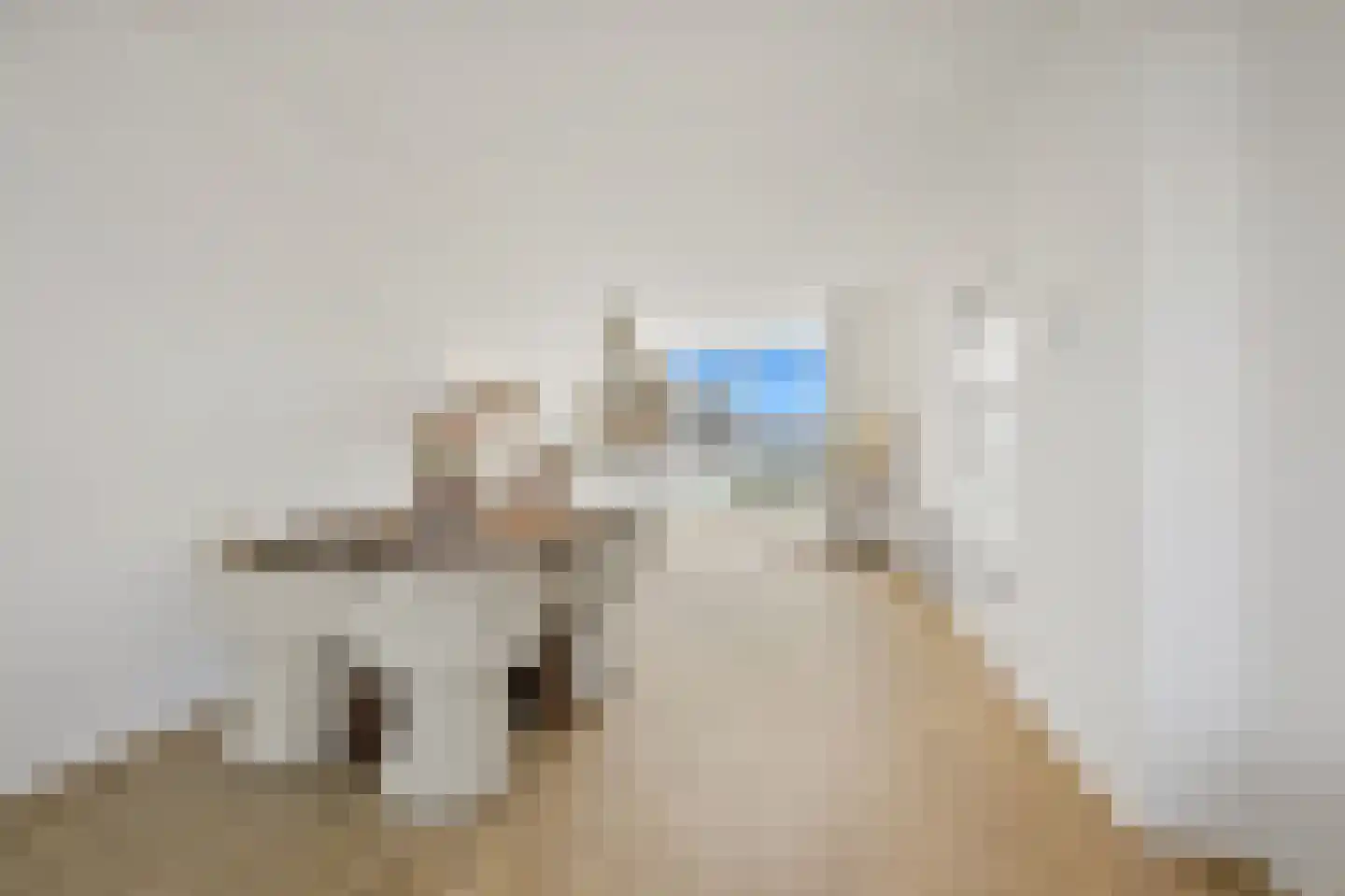 Eerbeeklaan 57 Den Haag thumbnail 8