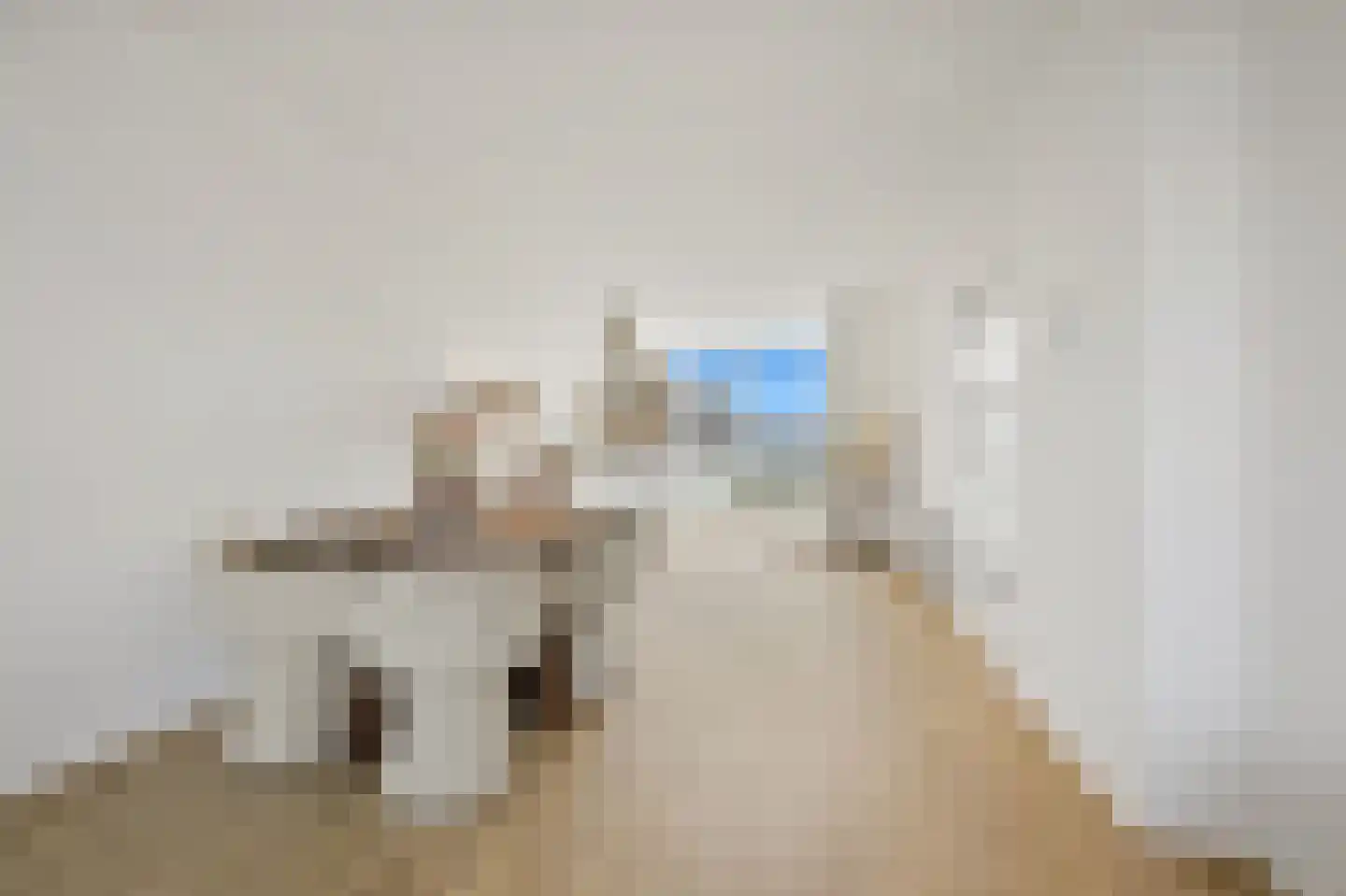 Eerbeeklaan 57 Den Haag thumbnail 8
