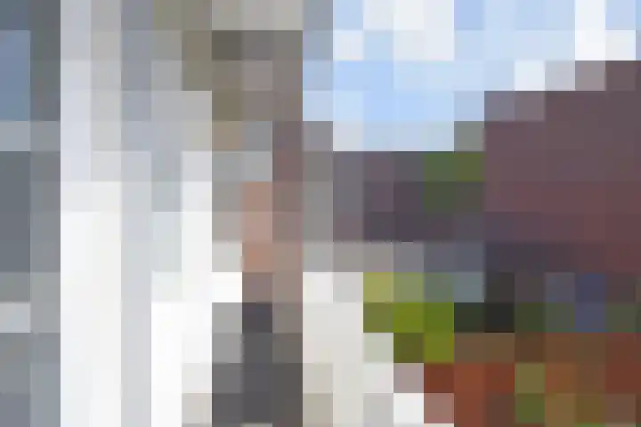 Eerbeeklaan 59 Den Haag thumbnail 16