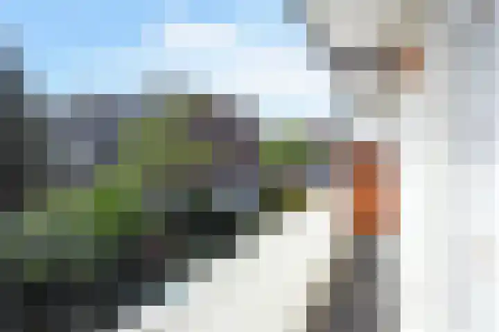 Eerbeeklaan 59 Den Haag thumbnail 17