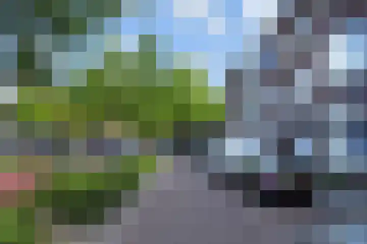 Eerbeeklaan 59 Den Haag thumbnail 25