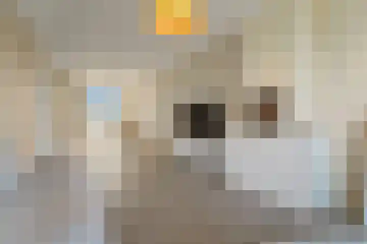 Eerbeeklaan 67 Den Haag thumbnail 10