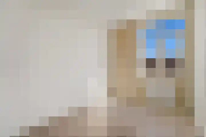 Eerbeeklaan 67 Den Haag thumbnail 20