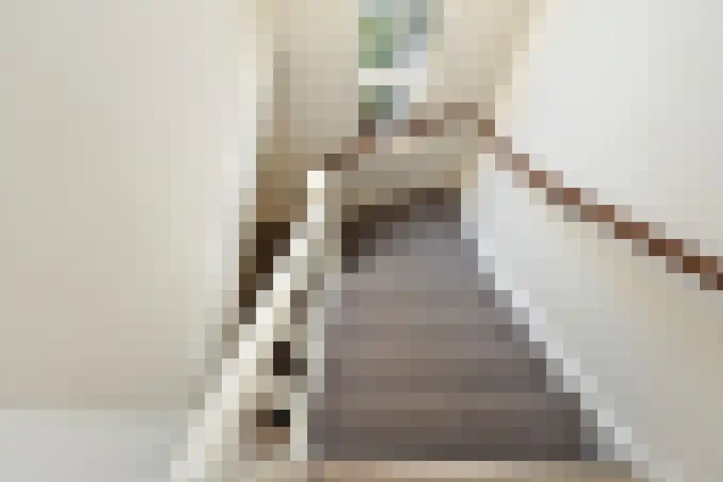 Eerbeeklaan 8 Den Haag thumbnail 5