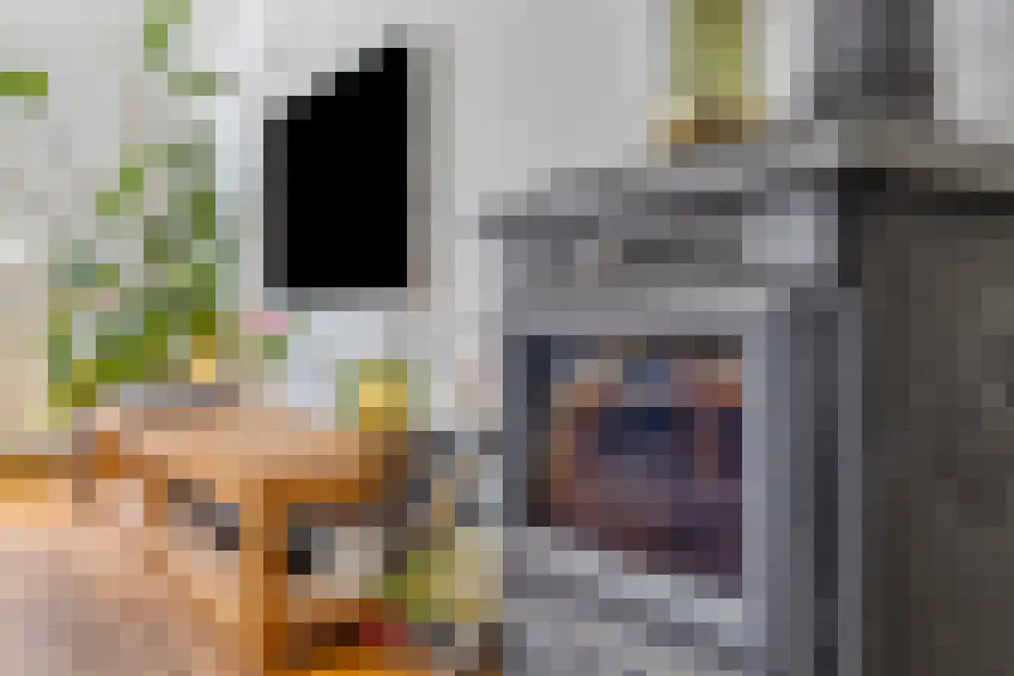 Eerbeekseweg 108 Loenen thumbnail 13