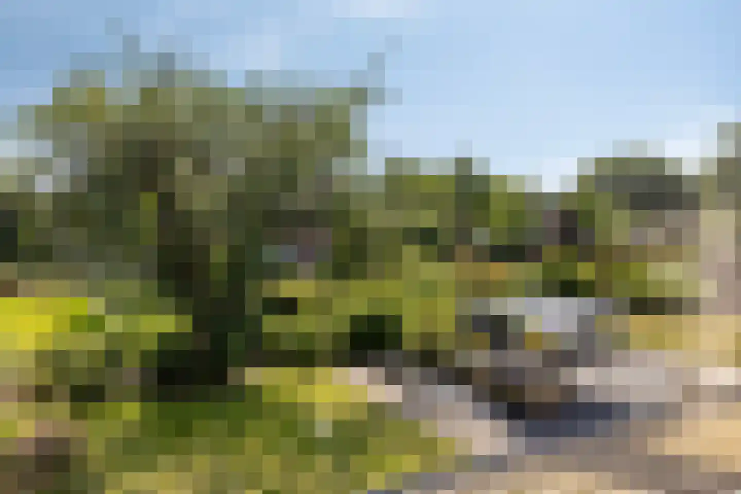 Eerbeekseweg 108 Loenen thumbnail 29