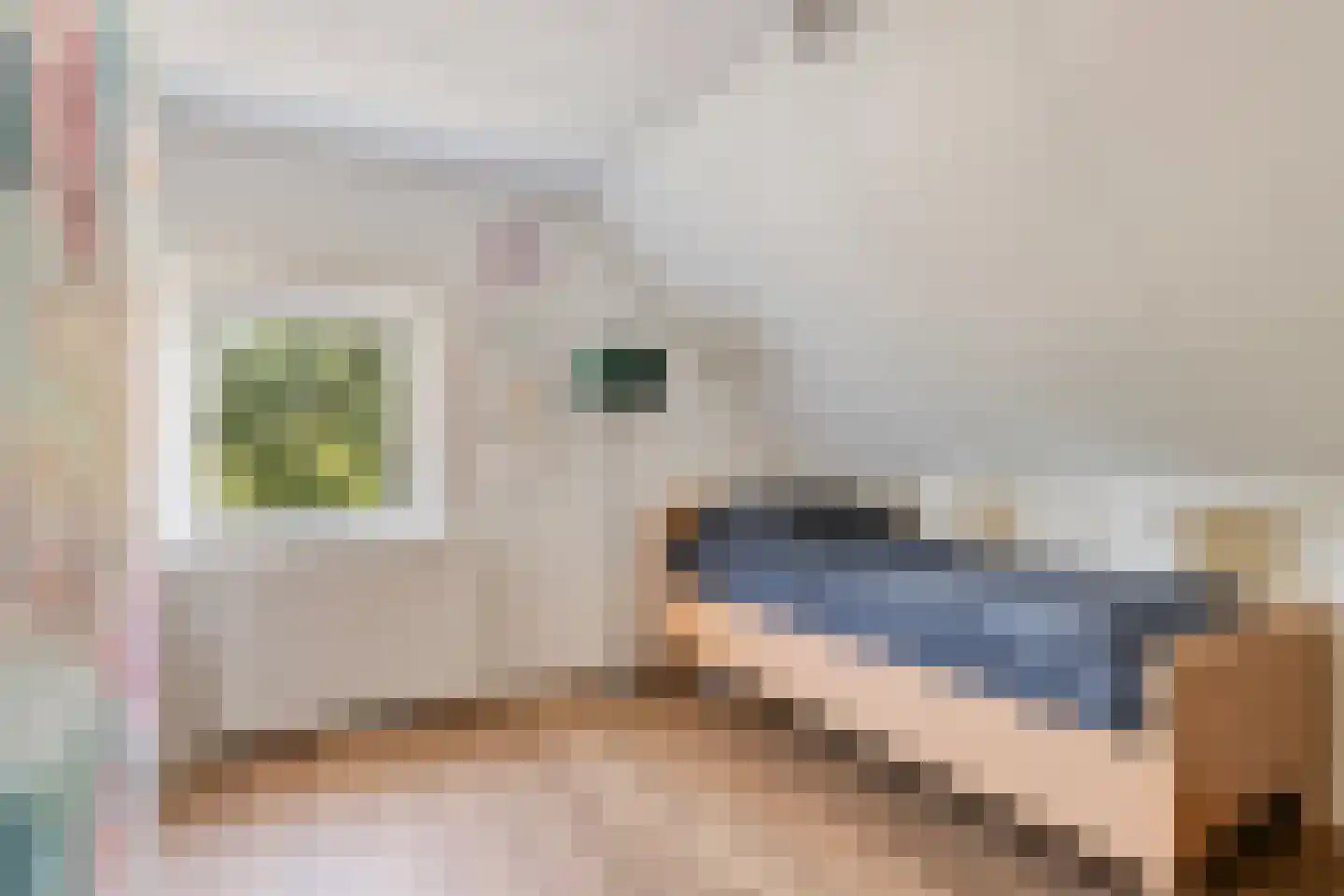 Eerbeekseweg 108 Loenen thumbnail 36