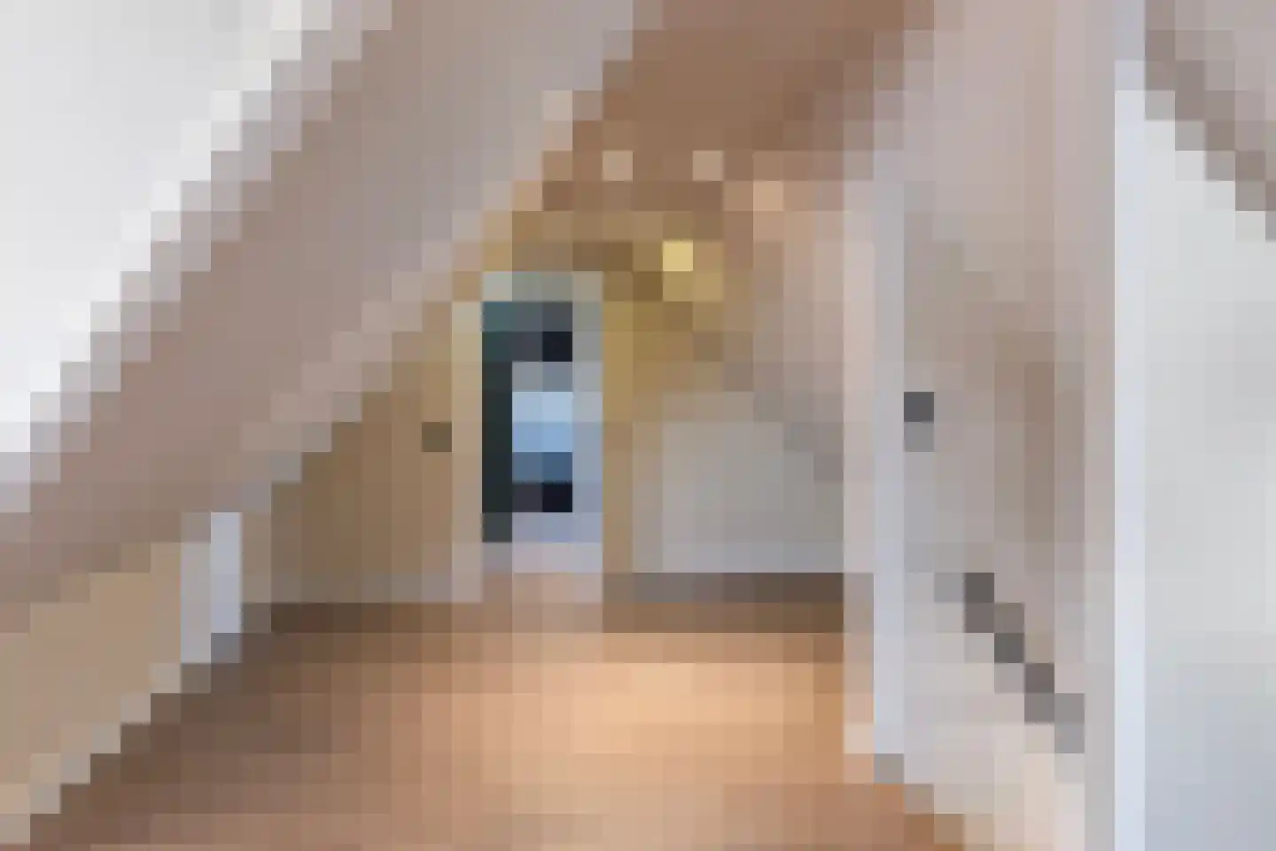 Eerbeekseweg 108 Loenen thumbnail 47