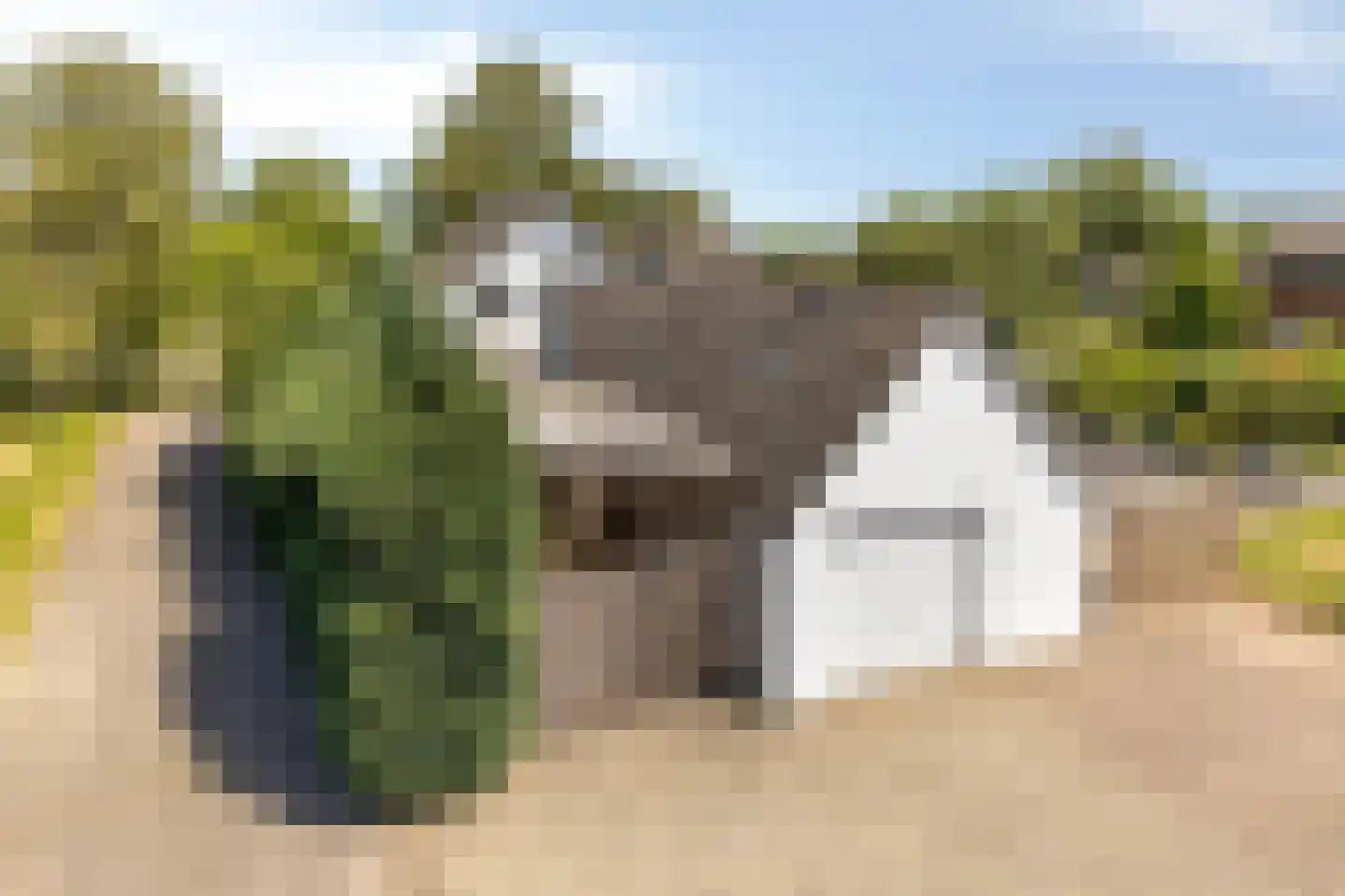 Eerbeekseweg 108 Loenen thumbnail 53